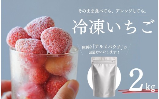 【冷凍いちご】 2kg こだわり いちご フローズン 冷凍 イチゴ strawberry 苺 新鮮 朝摘み 朝採り 産直 産地直送 安心安全 ichigo itigo いちご 苺 果物 フルーツ くだもの ギフト プレゼント 贈物 贈答 ケーキ ジャム ふるさと納税 ふるさと納税苺 いちご 静岡県 南伊豆町 みなみのいちご園　<AA-5>