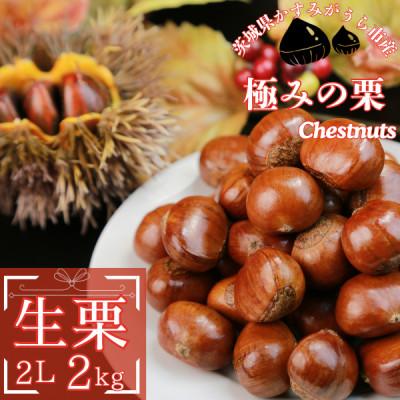 ふるさと納税 かすみがうら市 【先行受付】かすみがうら市産　生栗　2Lサイズ　2kg