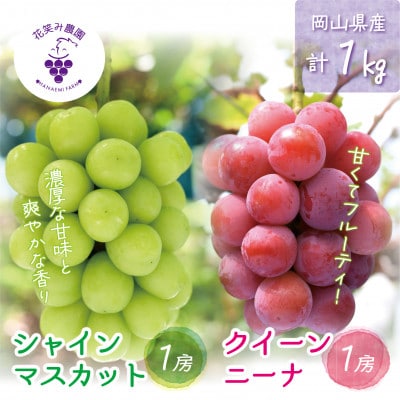 岡山　花笑み農園の『クイーンニーナ＆シャインマスカット』1kg(2房)QS-1【配送不可地域：離島・北海道・沖縄県】