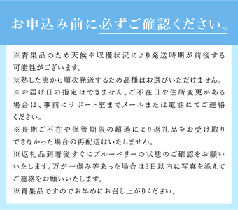 【2024年先行予約】6月～7月発送！大きく甘い、完熟ハイブッシュブルーベリー　500g（250g×2パック）