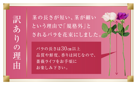 【定期便】【訳あり】バラ 花束 50本 12回定期便 チャーミングローズ 花 (  規格外 ご自宅用 ) 