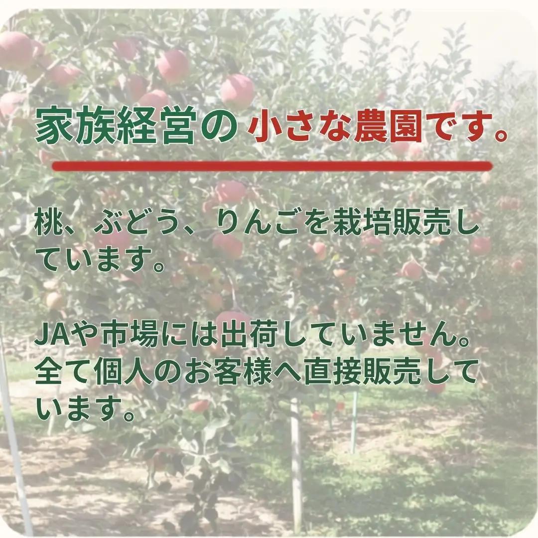 しなのスイート 家庭用 約3kg| りんご りんご