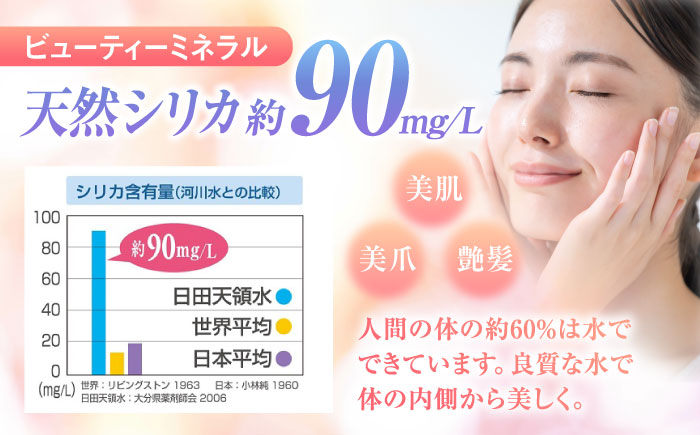 日田天領水(ラベルレス) 500ｍl×24本　日田市 / グリーングループ株式会社　みず 水 ミネラルウォーター [AREG059]