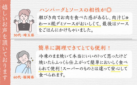いちもくさんの 糀 ハンバーグ / 糀 デミソース 5個 セット 糸島市 / いちもくさん 惣菜 総菜 [AQM001]