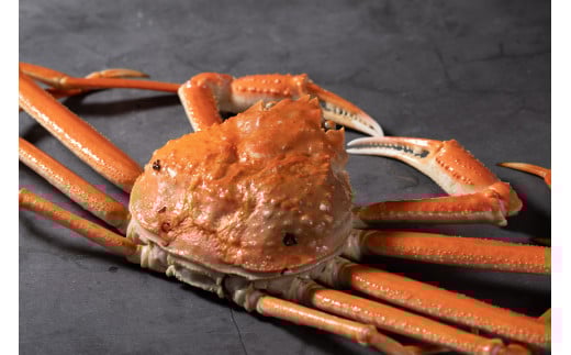 こちらの返礼品は生のままお届けします