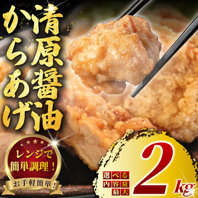 【ふるさと納税】 鶏もも からあげ 750g ~ 2kg レンジ で 簡単調理 ! 選べる 内容量 訳あり 簡易包装 冷凍 唐揚げ 清原醤油 唐揚 カラアゲ 惣菜 揚げ物 ザンギ 鶏肉 鶏 鳥 鶏唐揚げ 鶏のから揚げ 訳あり品 訳有 ワケアリ 訳 冷凍食品 おつまみ おかず 弁当 神奈川 湘南 藤沢