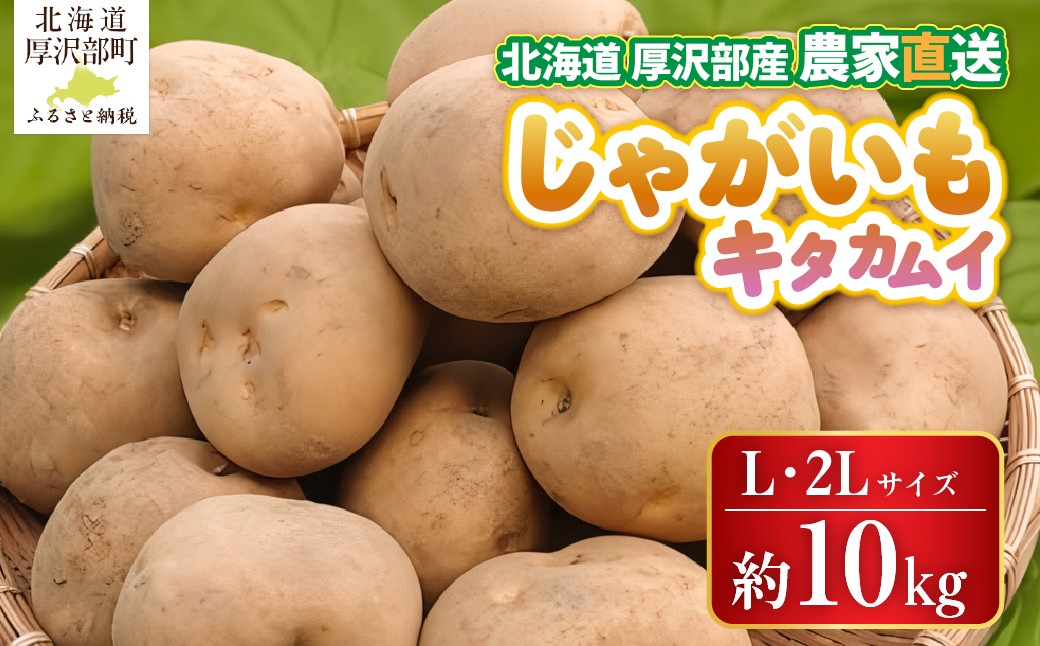 
                  【2026年9月下旬より発送】北海道厚沢部町産 キタカムイ 10kg【L・2Lサイズ】 【 ふるさと納税 人気 おすすめ ランキング じゃがいも ジャガイモ キタカムイ 野菜 肉じゃが カレー コロッケ 煮物 フライドポテト ポテトチップス ポテトサラダ じゃがバター シチュー 甘い おいしい 北海道 厚沢部 送料無料 】 ASO032
                
