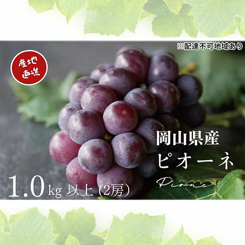 【ふるさと納税】厳選 ニューピオーネ 2房 合計1.0kg以上 産地直送 朝採れ ぶどう 葡萄 Kawahara Green Farm 岡山県産 2026年 先行予約　お届け：2026年8月25日〜2026年9月25日