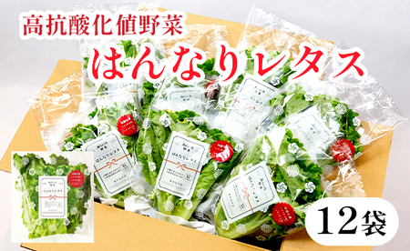 みらい乃野菜 はんなりレタス 12袋 ： レタス レタス 水耕栽培