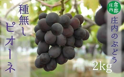 
            食の都庄内　庄内のぶどう【種無しピオーネ】約2kg※9月下旬～10月中旬配送
          