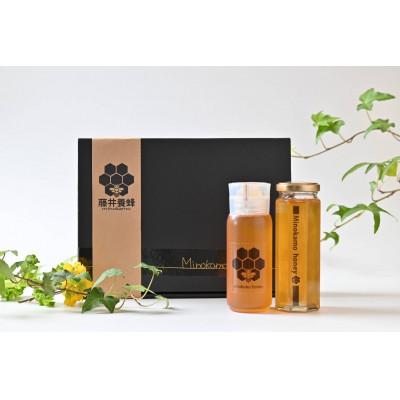ふるさと納税 美濃加茂市 MINOKAMO HONEY はちみつギフトBOX(2本入)