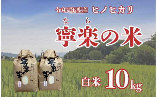 令和7年度 ヒノヒカリ 10kg 白米 お米 寧楽の米 ひのひかり 数量限定 米 ご飯 ごはん 米 おにぎり 国産 農家直送 とも農園 奈良県 奈良市