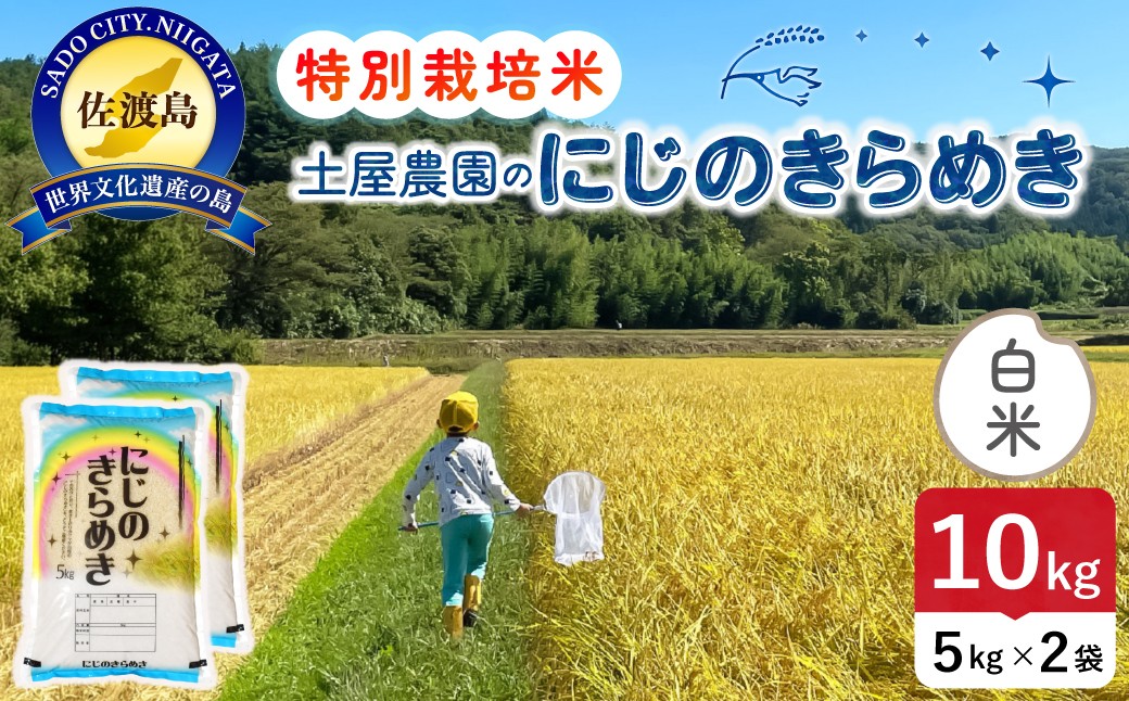 
                  佐渡島産にじのきらめき 白米10kg（5kg×2袋）令和7年産 特別栽培米 単一原料米 農家直送 | 新潟県産にじのきらめき 新潟産にじのきらめき 佐渡産にじのきらめき にじきら 虹のきらめき お米 米 白米 精米 ブランド米 おこめ コメ 10キロ 大粒 にいがた さど 新潟県 佐渡市
                