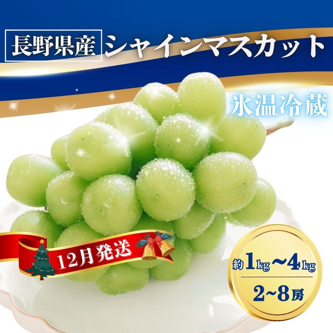 【ふるさと納税】【2025年先行予約】氷温貯蔵シャインマスカット 約1~4kg(2~8房)|葡萄 グレープ 果物 フルーツ シャインマスカット 信州ぶどう 信州葡萄 産地直送 種無し 皮ごと食べれる 白ぶどう マスカット 熟成 信州 長野 千曲市