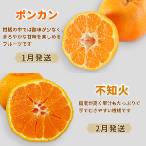 【定期便4回】 訳あり 季節の柑橘4種 各5kg 合計 20kg ポンカン 不知火 甘夏 河内晩柑   柑橘 みかん 果物 フルーツ ゼリー アイス ジュース 定期便  フルーツ定期便 和製 グレープ