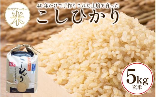 こしひかり 5kg 玄米 令和7年産 潮風米 ご飯 おにぎり ごはん お弁当 ギフト 贈答 プレゼント お取り寄せ グルメ 保存 防災 備蓄 送料無料 徳島 小松島