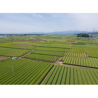 ふるさと納税 入間市 一煎パック入り 狭山茶ティーバッグ「霞川 煎茶」 |  | 02