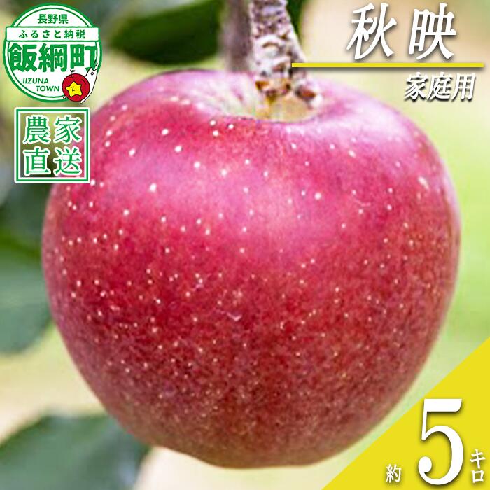 【ふるさと納税】 りんご 秋映 家庭用 5kg 丸山りんご園 沖縄県への配送不可 令和8年度収穫分 長野県 飯綱町 〔 信州 果物 フルーツ リンゴ 林檎 長野 16000円 予約 農家直送 〕発送時期：2026年10月上旬〜2026年10月下旬 {**}