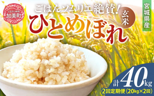 【2回定期便】新米 玄米 令和6年産 宮城県加美町産ひとめぼれ 計40kg (10kg×2袋)×2回 [菅原商店 宮城県 加美町 ]  | sg00002-r6-20kg-2