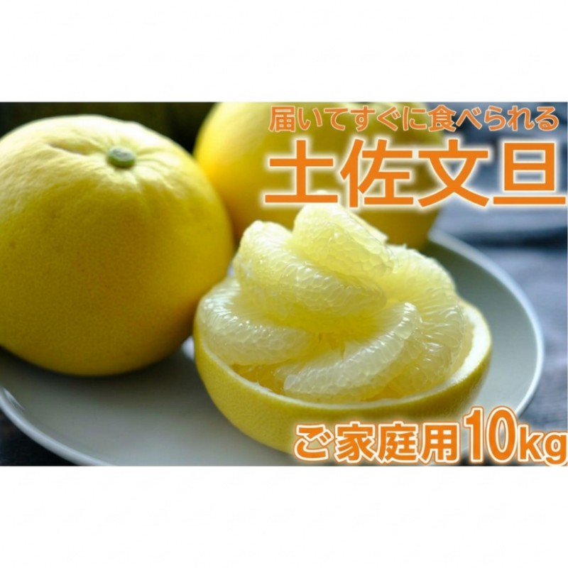 土佐文旦 10kg L〜3L ご家庭用 高知 黒潮町 文旦 ぶんたん 柑橘 フルーツ 果物 文旦10kg 家庭用文旦 大玉 小玉 サイズ統一 17〜25個 産地直送 文旦セット 柑橘類 旬 文旦 高知