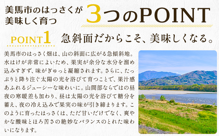 八朔 はっさく ご家庭用 サイズ不選別 9kg《2月上旬-2月下旬頃出荷》八朔 柑橘 果物 フルーツ 訳あり 規格外 傷あり 徳島県 美馬市 送料無料