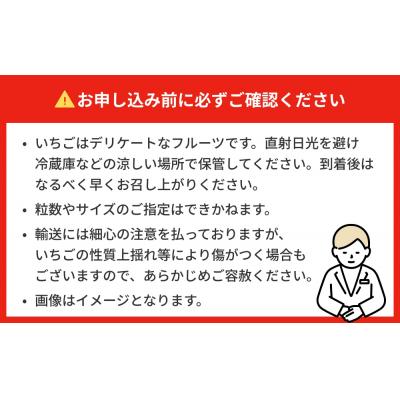 ふるさと納税 石巻市 【2026年1月中旬発送開始】 苺 とちおとめ 恋みのり にこにこベリー とらいべりー 280g×4 |  | 01