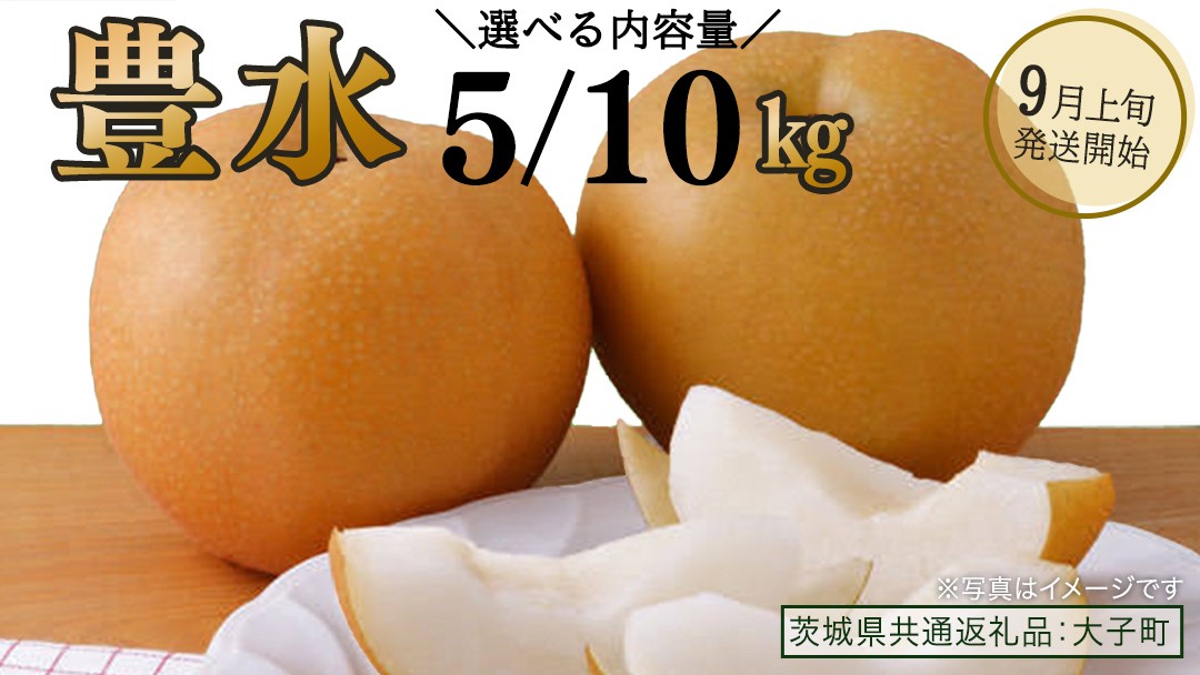
                  【 選べる 内容量 】 豊水 約5kg / 約10kg 【2026年9月上旬発送開始】(茨城県共通返礼品：大子町) 梨 なし 果物 くだもの フルーツ
                