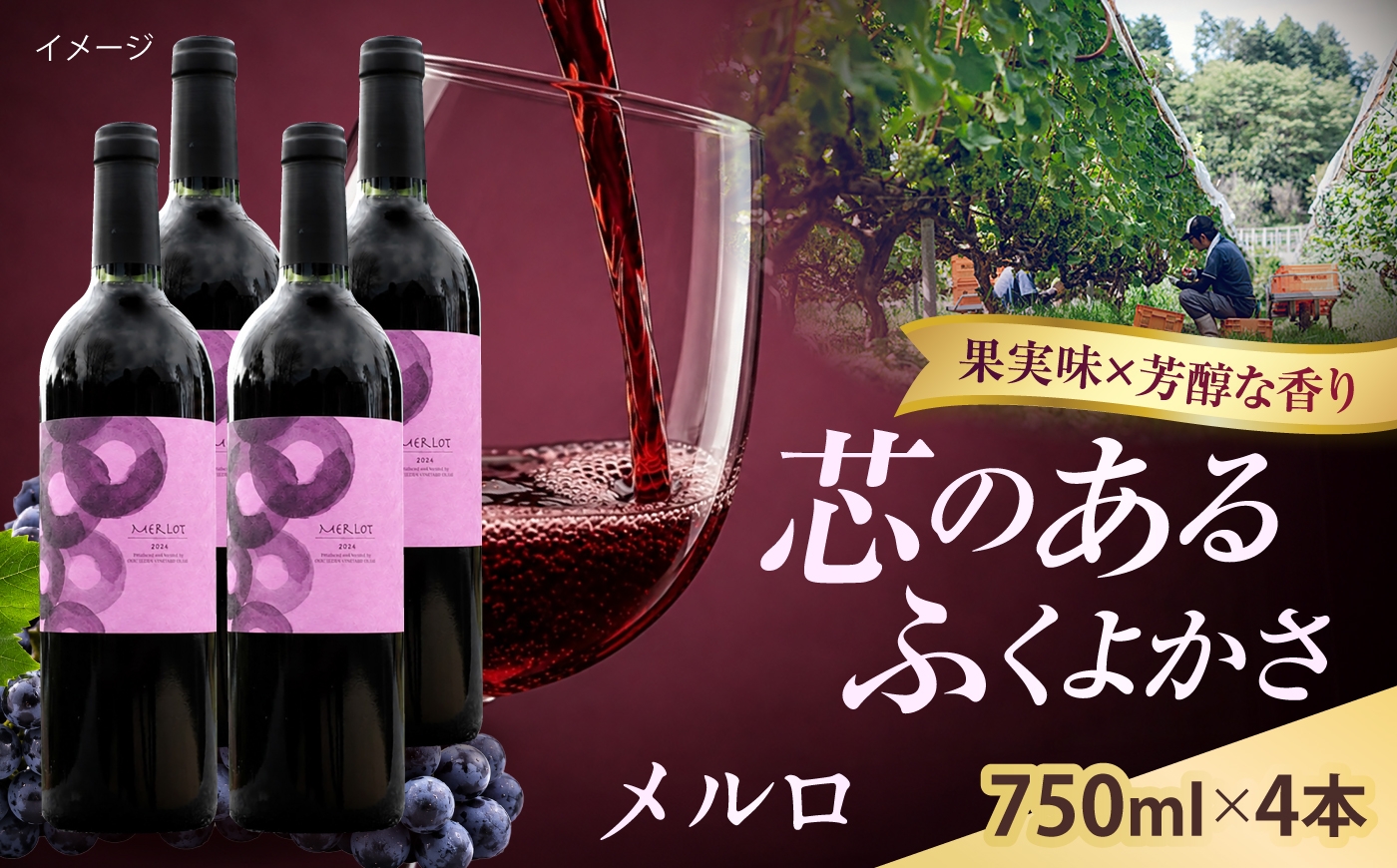 
                  メルロ 4本 750ml×4 赤ワイン 国産 島根県雲南市/有限会社奥出雲葡萄園 [AICS103]
                