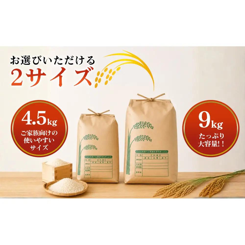 【先行予約】R8年度産 新米こしひかり白米9kg