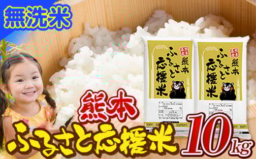 米 無洗米 家庭用 熊本 ふるさと応援 米  10kg《7-14日以内に出荷予定(土日祝除く)予定》 熊本県産 白米 精米 山江村 ブレンド米 国産 洗わず おうちご飯 返礼品 発送 配送 SDGs