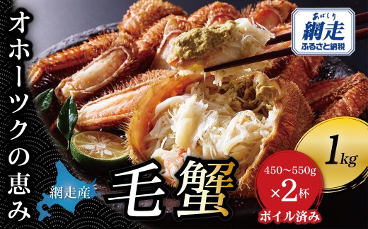【網走産】オホーツクの恵み 毛蟹 約1kg（450?550g × 2杯）｜ボイル済み 冷凍 毛ガニ 北海道【ふるさと納税 人気 おすすめ ランキング 毛蟹 毛ガニ 毛がに かに カニ 蟹 ボイル ボイル済み 冷凍 北海道 網走 網走産 オホーツク オホーツク海 オホーツク海産 海鮮 魚介 魚介類 カニ 海の幸 1杯 1尾 お取り寄せ グルメ ごちそう お祝い 贈答 ギフト 送料無料】ABBI015
