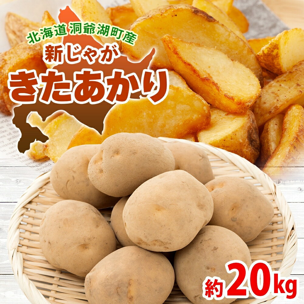 【ふるさと納税】北海道 洞爺湖町産 新じゃがいも きたあかり 約20kg Mサイズ以上混載 2026年10月初旬より順次出荷 北海道産 新じゃが じゃがいも いも ジャガイモ 馬鈴薯 黄爵 芋 旬 野菜 農作物 産地直送 常温 洞爺湖町　お届け：2026年10月初旬より順次出荷