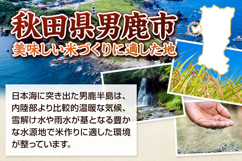 あきたこまち 無洗米 5kg（5kg×1袋）令和7年産 秋田食糧卸 [あきたこまち ブランド米 お米 白米 精米 無洗米 米どころ 秋田 秋田県産]|23_aso-030501_イメージ4
