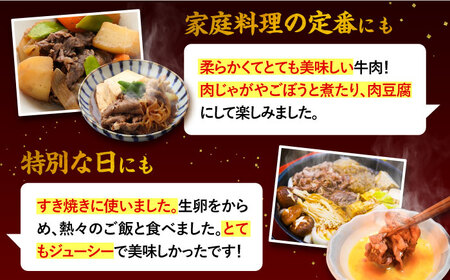 【全12回定期便】博多和牛 切り落とし 1kg（500g×2P） 糸島市 / 幸栄物産  肉 牛肉 博多 和牛 黒毛和牛 切り落とし 500g 小分け 袋 [ABH016]