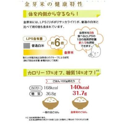 ふるさと納税 安来市 【毎月定期便】BG無洗米・金芽米つや姫 5kg全6回 |  | 03