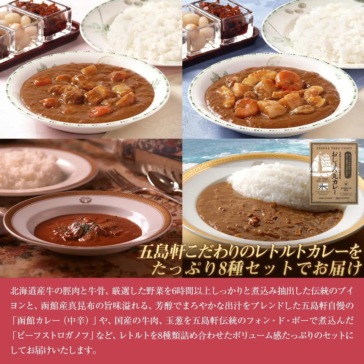 五島軒 レトルトカレー＆ビーフストロガノフセット HOKE017 