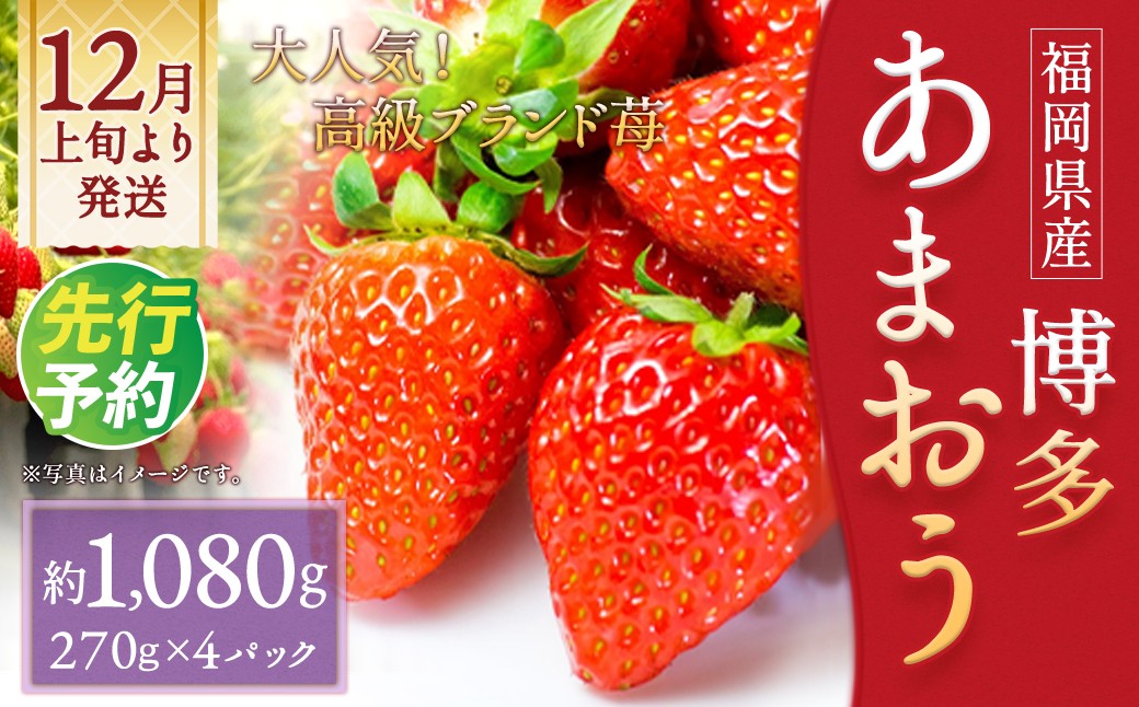 いちご「 あまおう 」 約270g×4パック 計約1,080g 【2026年12月上旬～2027年1月下旬発送予定】