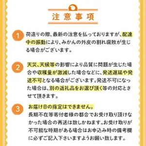 【2月上旬から発送】 訳あり 文旦 高知 5kg  L ～ 4L サイズ 混合 浦ノ内特産 早期予約 予約受付中 期間限定 季節限定 限定 旬 みかん ミカン ぶんたん 高知県 土佐文旦 柑橘 家庭用