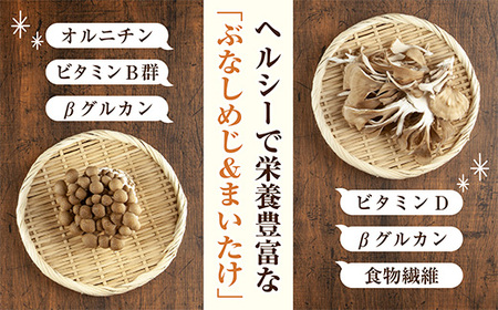 乾燥きのこ 2種セット（ぶなしめじ まいたけ）／国産 乾燥 ぶなしめじ 30g 舞茸 30g 各1袋ドライ きのこ 無添加 国産 だし 時短 ダイエット ギフト お取り寄せ はぴふる 新潟県 