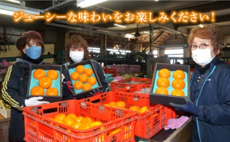 【2026年2月?発送】せとか 2kg / みかん みかん みかん みかん みかん みかん みかん / 南島原市 / JA東南部[SAC002]
