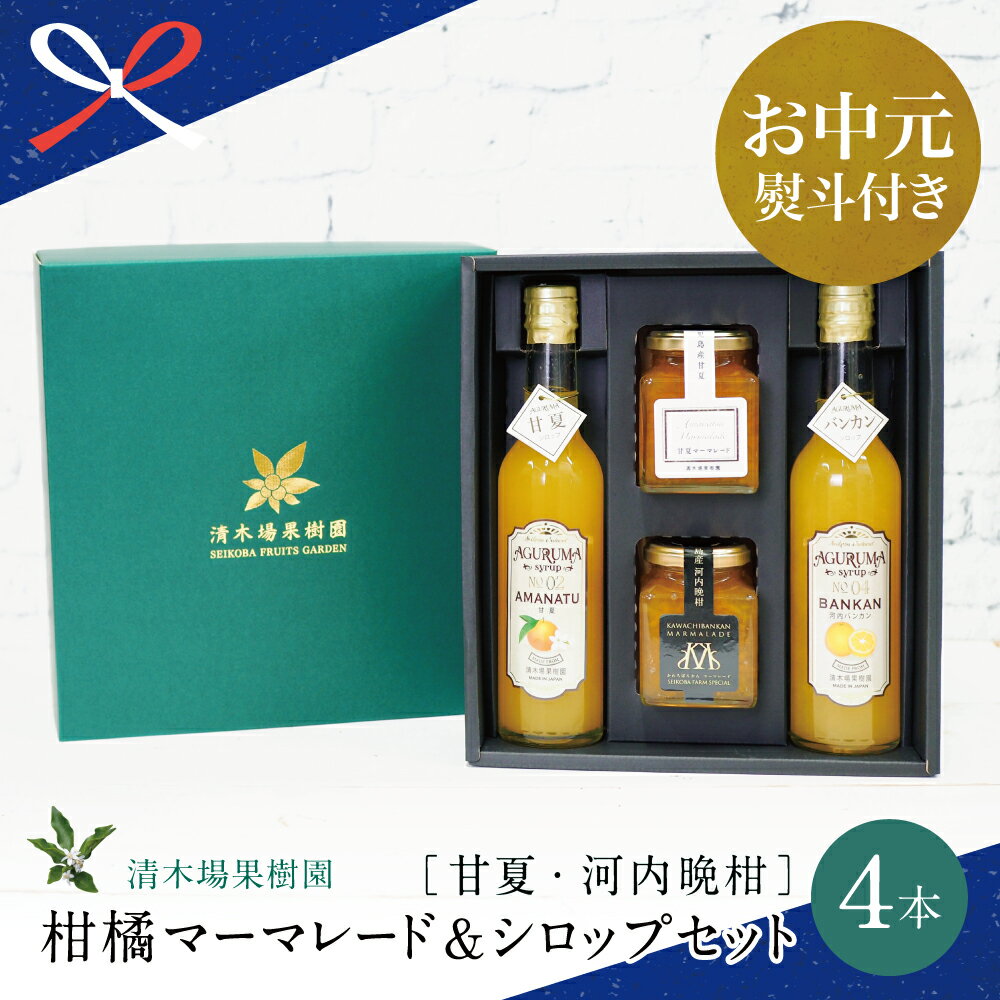 【ふるさと納税】【お中元ギフト】マーマレード＆シロップ4本セット（甘夏・河内晩柑） ドリンク ジュース 炭酸 ハイボール カクテル かき氷 ヨーグルト アイス パンケーキ ジャム 朝食 清木場果樹園 南さつま市 贈り物 夏ギフト 贈答用 送料無料 のし対応 お中元熨斗付き