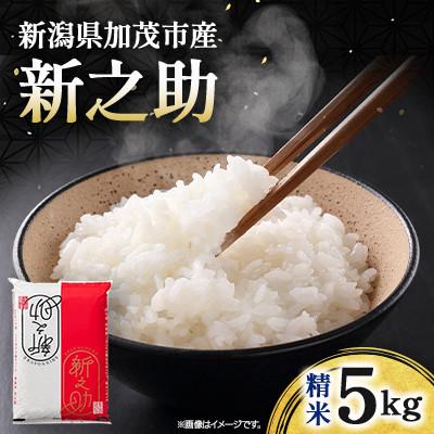 ふるさと納税 加茂市 【先行予約】令和8年産　新之助　精米5kg