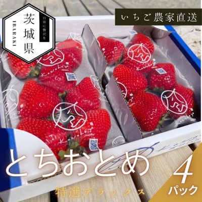 【2026年1月順次発送】風早いちご園 とちおとめ 特選デラックス 4パック【配送不可地域：離島・北海道・沖縄県】
