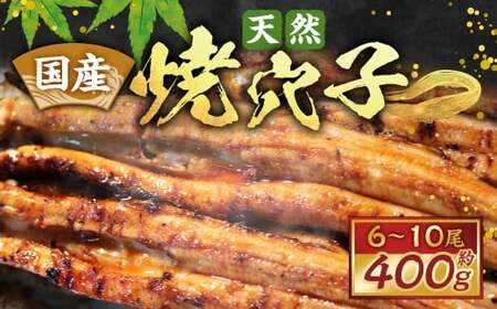 国産天然焼穴子（約400g） あなご アナゴ 秘伝のタレ