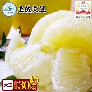 【3回定期便】園主こだわりの土佐文旦　10キロ（18〜24玉） 〈2027年2月・3月・4月発送〉 先行予約 高知県 土佐市【やの一果彩】[BQAC010]