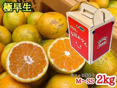 定期便 ちょっと 傷あり 2kg × 3回 コース 有田みかん 食べくらべ 3種 全3回 南泰園