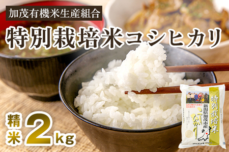 【令和7年産新米先行予約】新潟県加茂市産 特別栽培米コシヒカリ 精米2kg 《10月中旬から順次出荷》 白米 従来品種コシヒカリ 加茂有機米生産組合