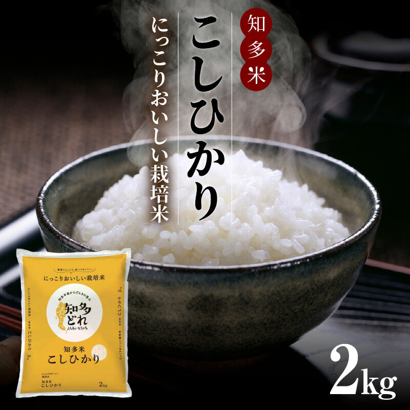 【ふるさと納税】にっこりおいしい栽培米 知多米こしひかり【2kg】コシヒカリ 白米 精米 お米 GAP基準に沿って栽培されたお米 ブランド米 知多 JAあいち知多 人気返礼品 常滑市 単一原料米 国産米 送料無料