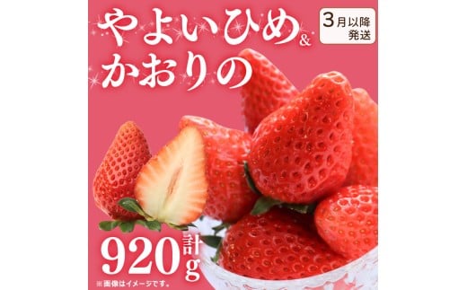 《3月～発送》 先行予約  訳あり いちご やよいひめ かおりの 2種セット 920g  苺 ストロベリー 果物 フルーツ ケーキ ゼリー ジュース アイス シャーベット チョコ フルーツサンド いちご大福 大福 洋菓子 和菓子 スイーツ デザート ジャム 不揃い 規格外 家庭用 甘い 人気 おすすめ お取り寄せ グルメ 徳島県 阿波市 Berry Mate Farm