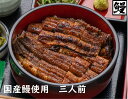 【ふるさと納税】おうちでひつまぶし　3人前／炭火焼きうなぎ